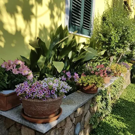 Lovely Flat In Northern Sardinia * 瓦雷多利亚
