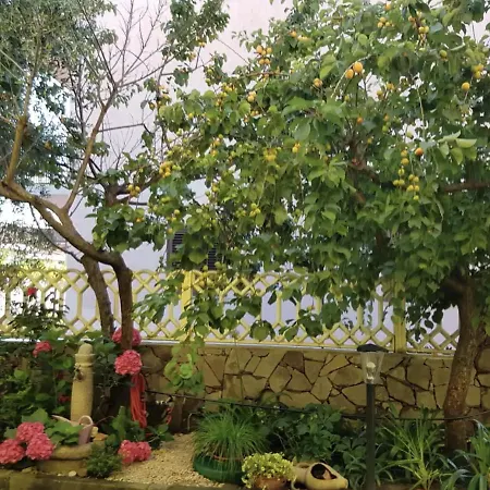 Lovely Flat In Northern Sardinia *