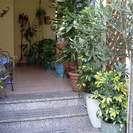 Lovely Flat In Northern Sardinia
