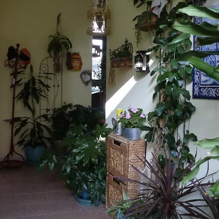 Lovely Flat In Northern Sardinia * Valledoria (Sardinia)