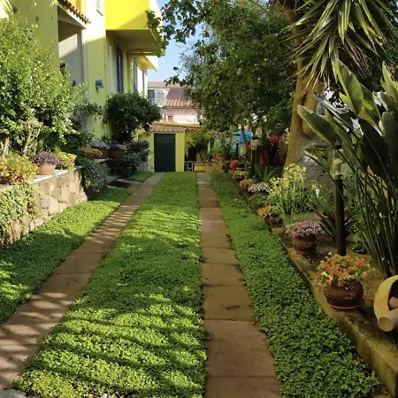 Lovely Flat In Northern Sardinia 아파트 *