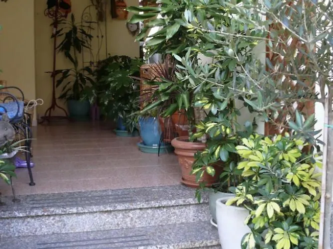 Lovely Flat In Northern Sardinia