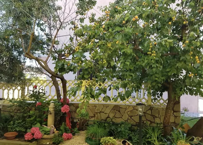 Lovely Flat In Northern Sardinia *